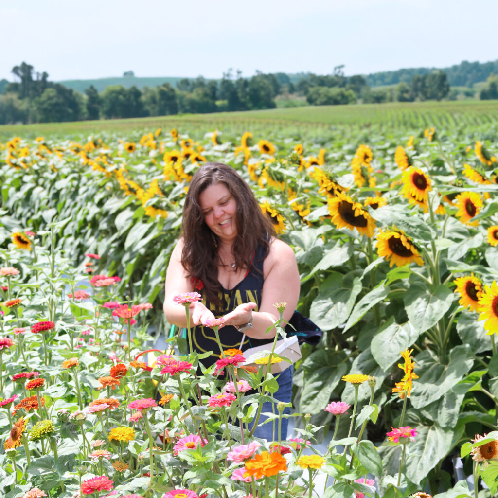 exploring in the flower field
