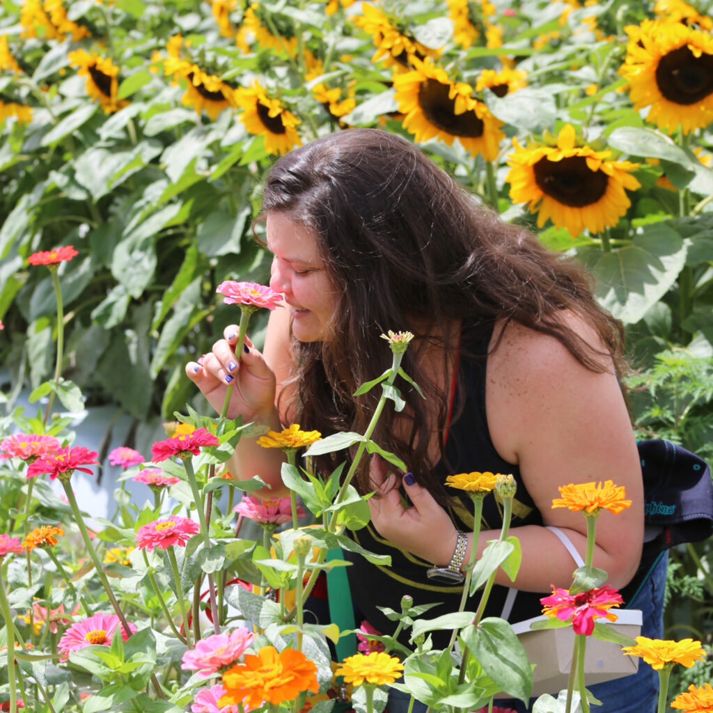 Wake up and smell the flowers. 